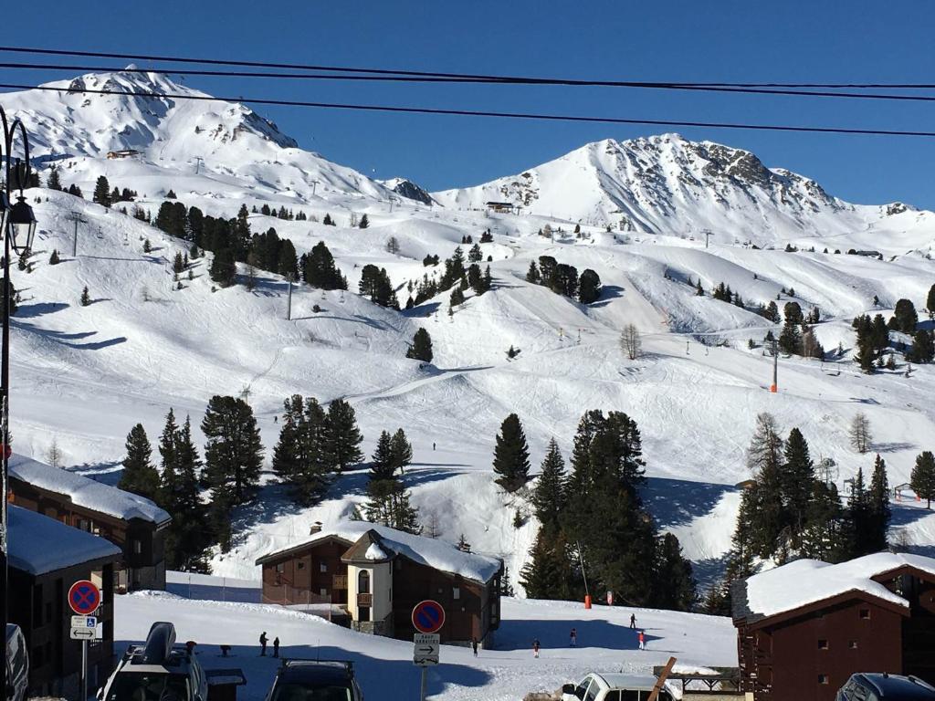 Studio chaleureux au centre, vue pistes, animaux acceptés - 3