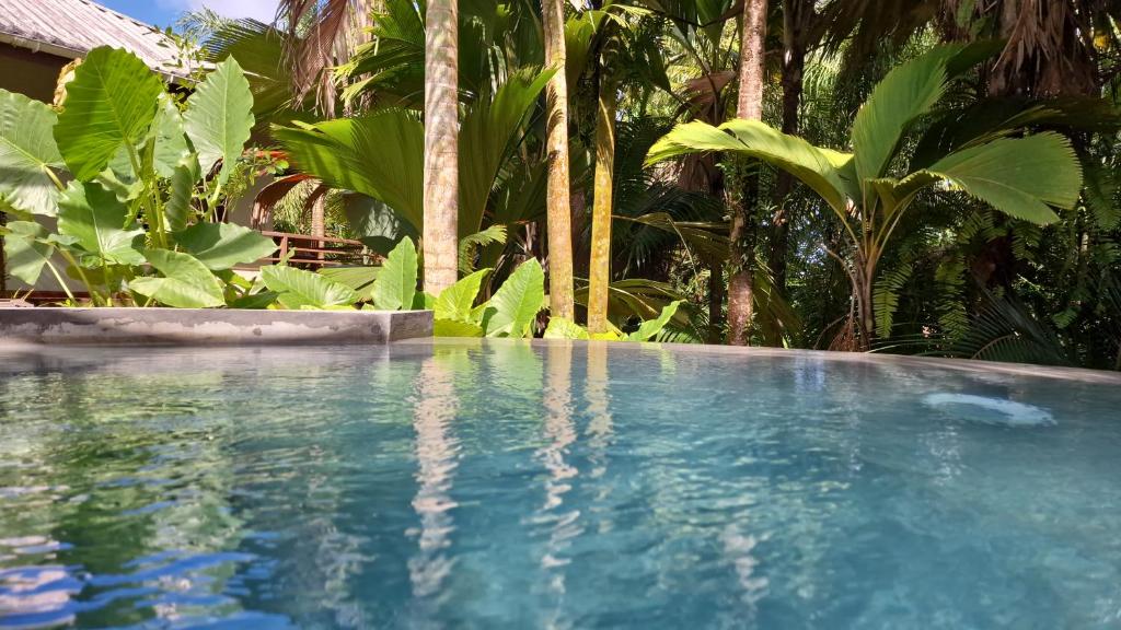 A Peace In Paradise, Baie Lazare Mahé