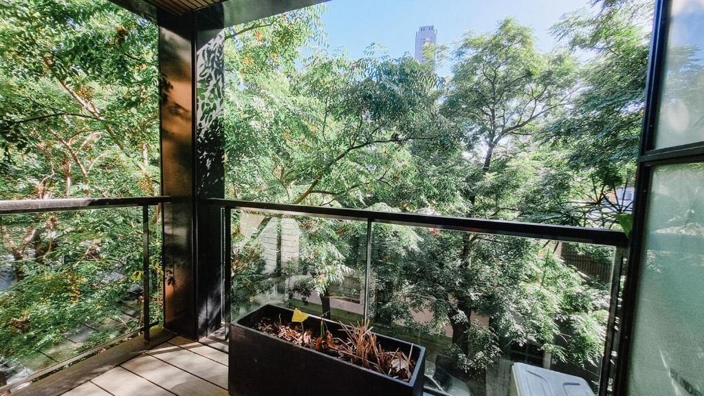 We Live Nicaragua - Palermo, Buenos Aires - 5