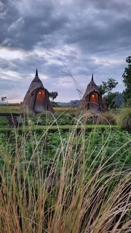 Uma Buug, Karangasem