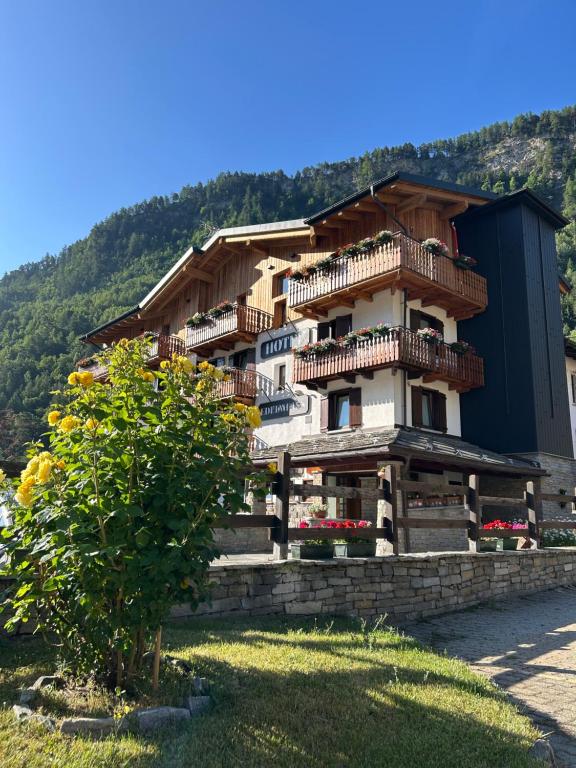 Hotel Edelweiss - 1