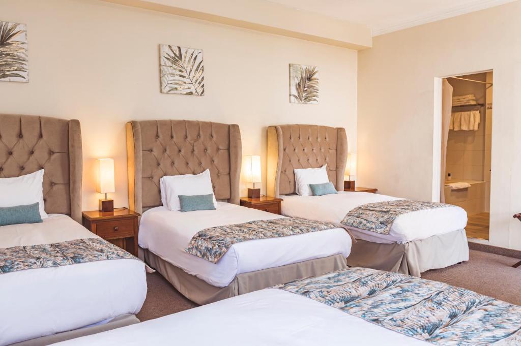 Hostal Lirium - 5