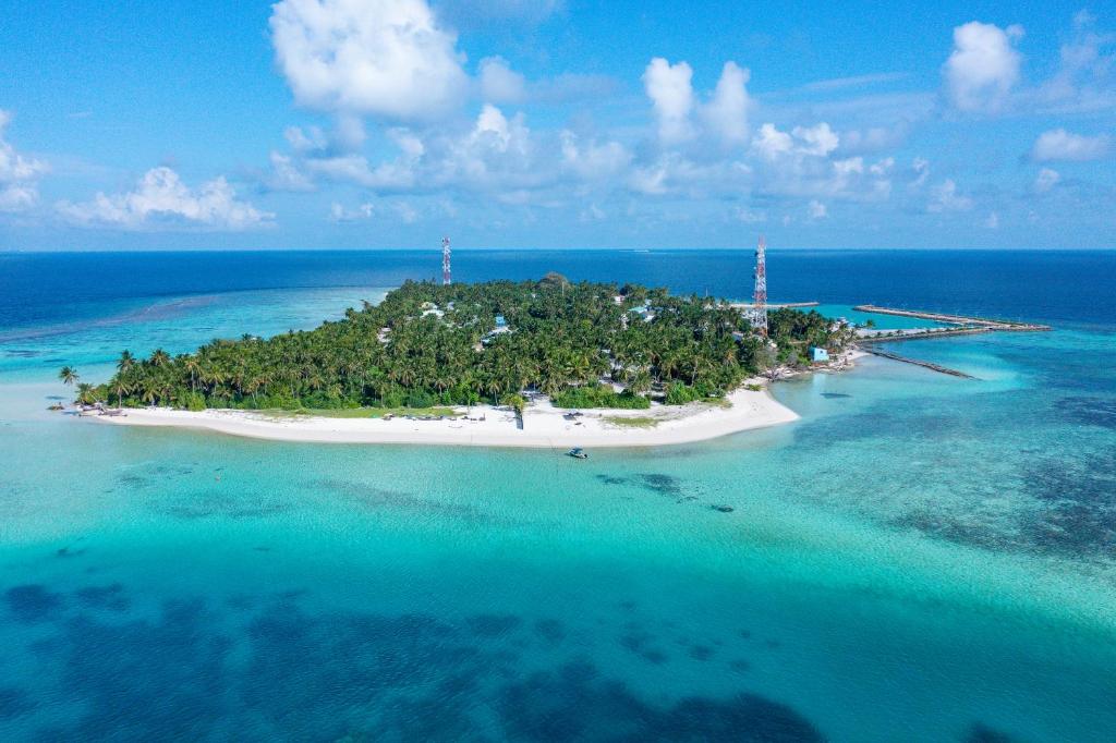 Beach, Kuri Himandhoo Inn in Maldive Islands