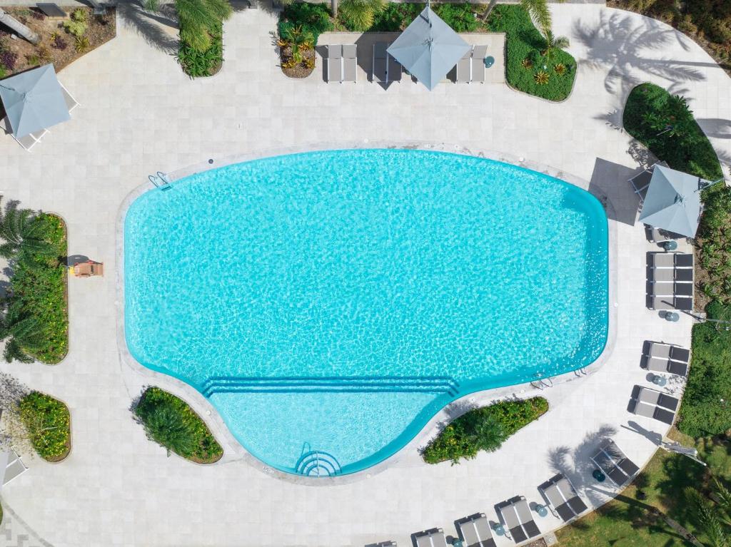 スイミングプール