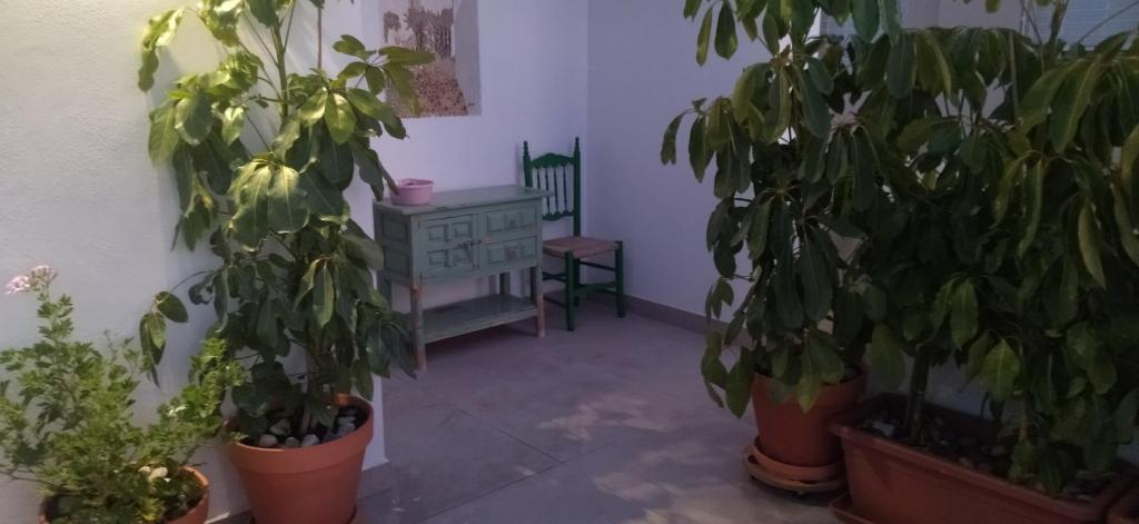 Apartamento en Costa de Almería, Costa Cabana con terraza, enfrente a Parque Natural Cabo de Gata - 5