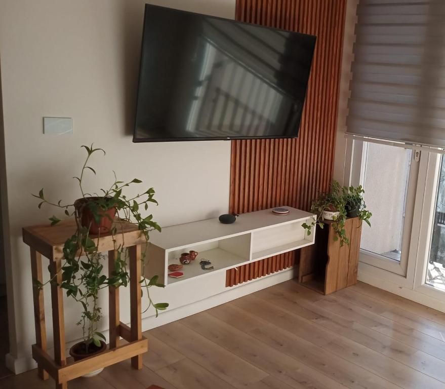 Excelente y céntrica ubicación - 2