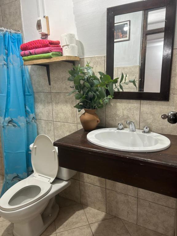 Bed and Breakfasts - Ollantaytambo by ViaHero - 2