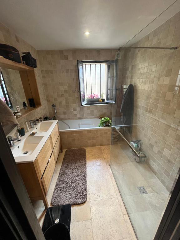 Loft, terrasse, Montpellier, quartier carré du roi, Arceaux,, Montpellier