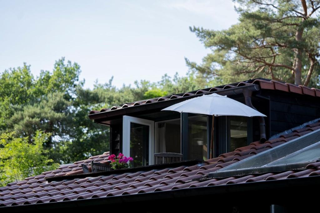 Bed, Boom en Droom, Rolde