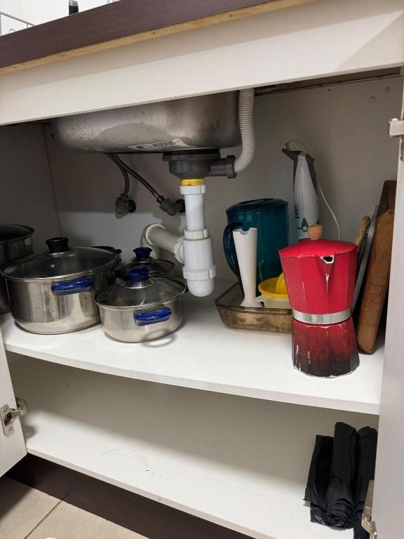 Descanso y naturaleza en Papudo - 2