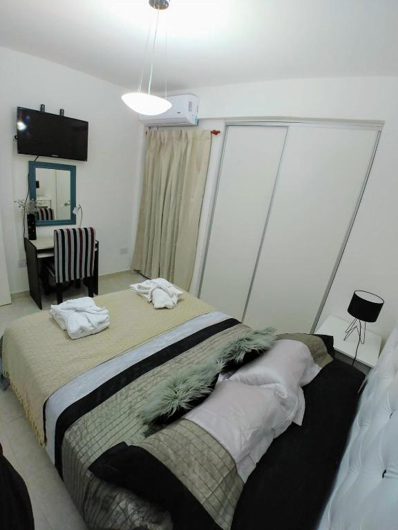 Beautiful One Bedroom Apartment with Garage - 4