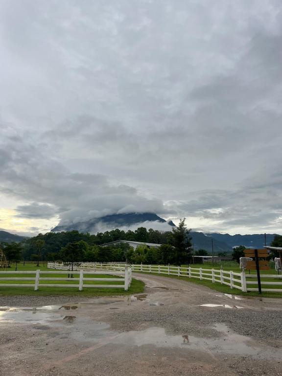 ทัศนียภาพ