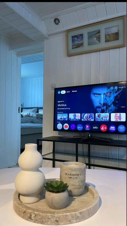 Little white on the west coast, Strömstad