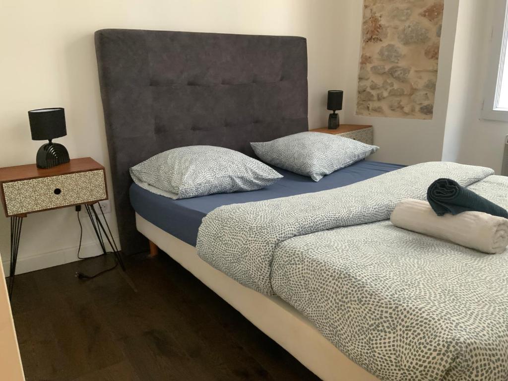 appartement palmiers 2 pieces - 4