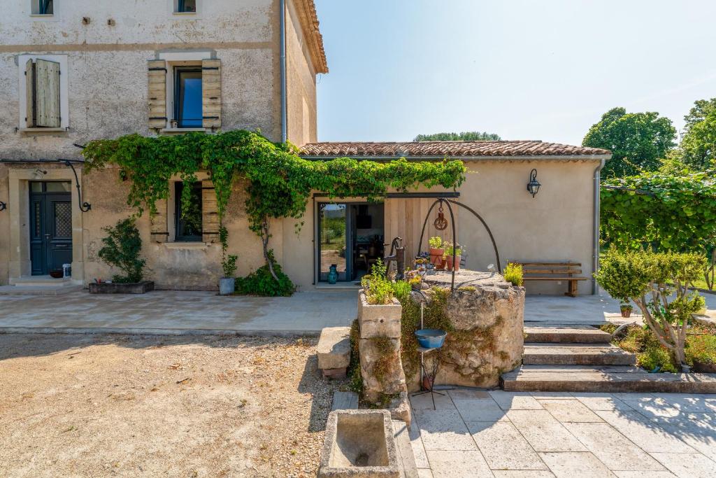 Tilleul enchanté, Malaucène