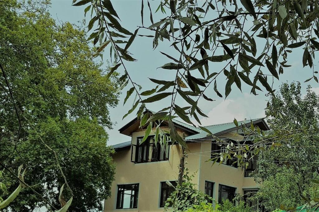 Chinar Cottage, Šrínagar