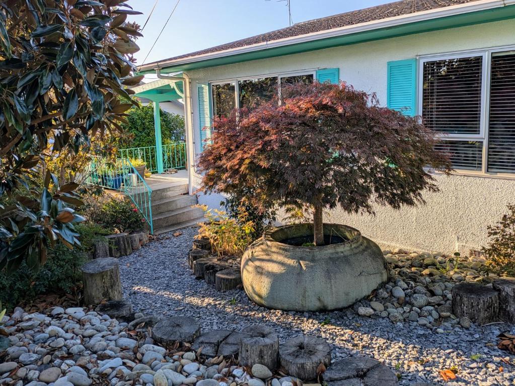 Sunny, Bright & Warm - One Bay View, Nelson