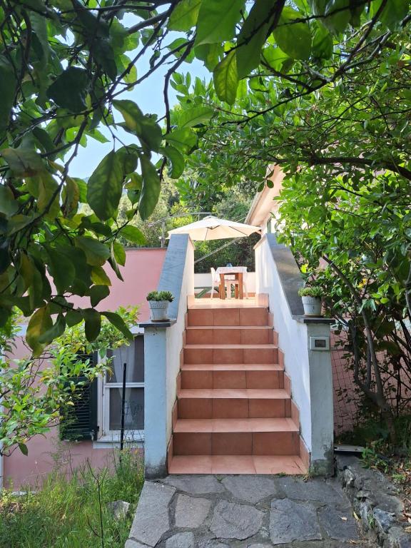 Terrace on the green, Monterosso al Mare
