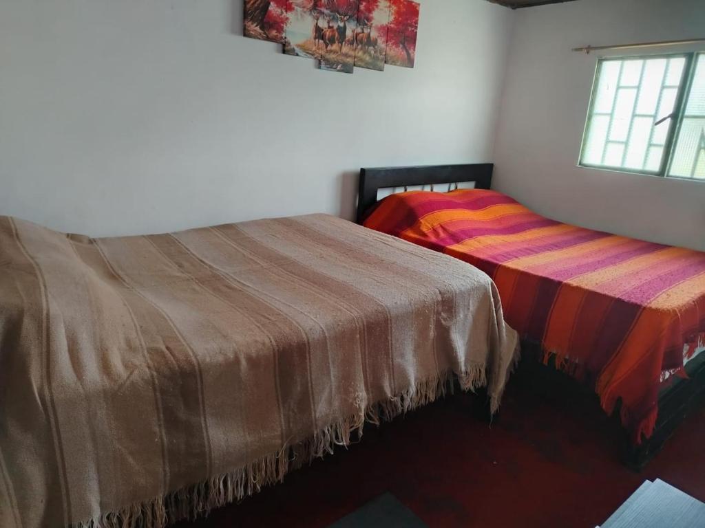 Donde Sara Tourist House - 3