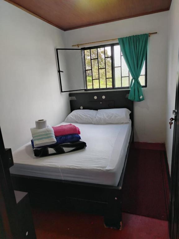 Donde Sara Tourist House - 5