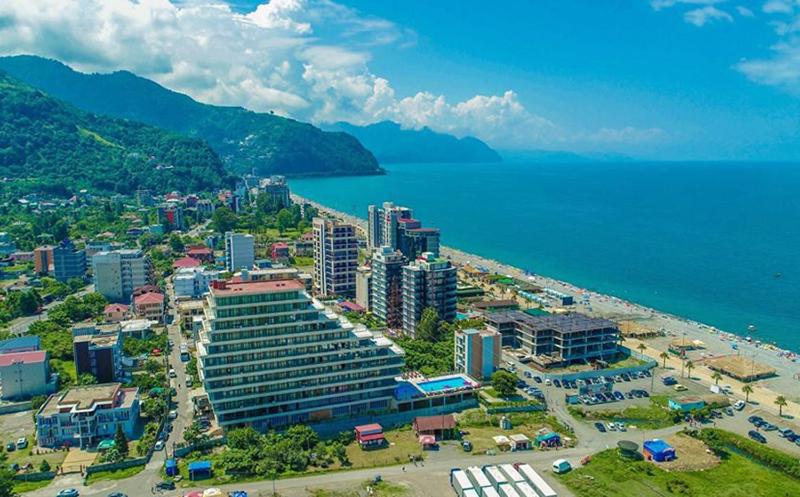 Gonio Pontos Mgzavrebi, Gonio