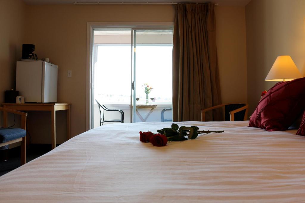 Rum Runner Inn, Lunenburg (NS) 2024 Updated Prices, Deals