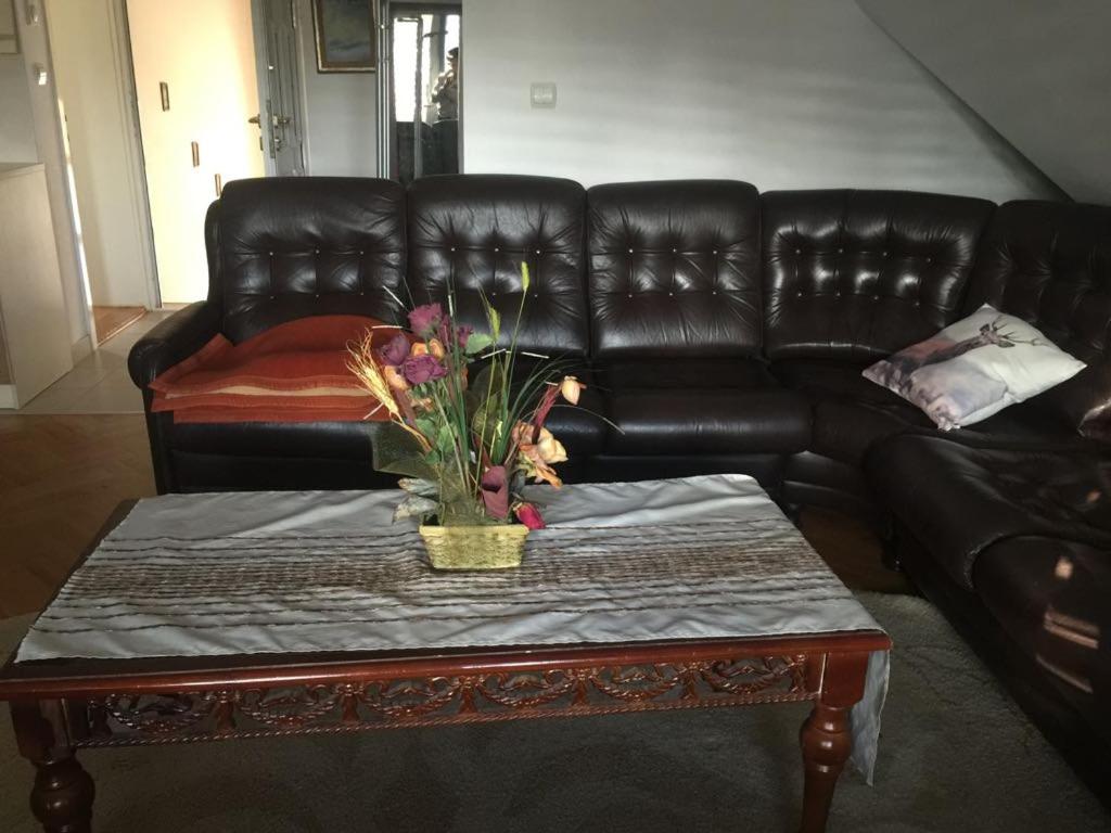 Garden Apartment Zlatibor - Centar - 5