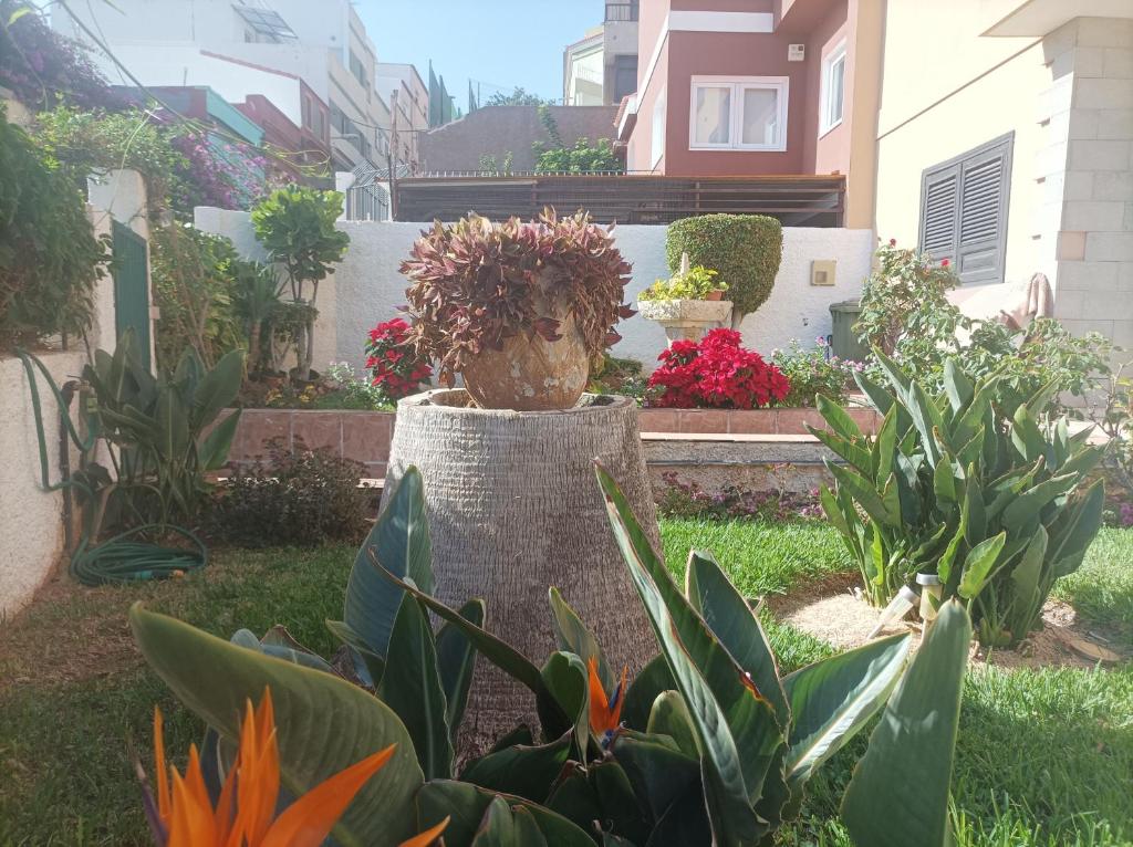 Casa Quico 5 - 2