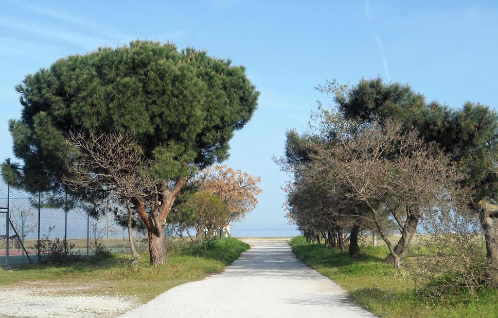Villa Verano photo