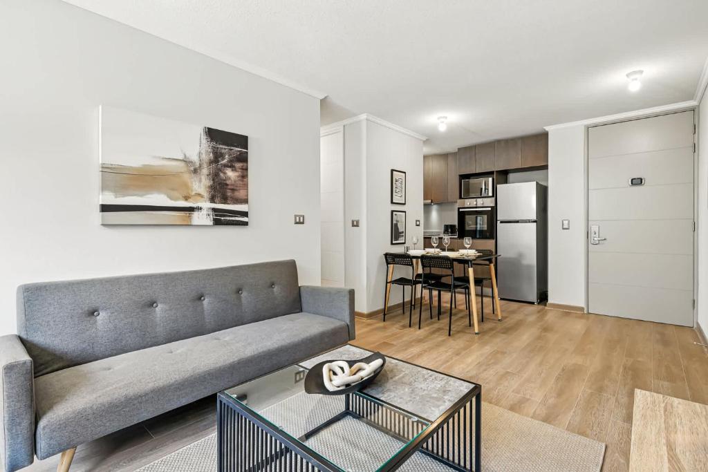 Equipped and Modern Apartment, Santiago