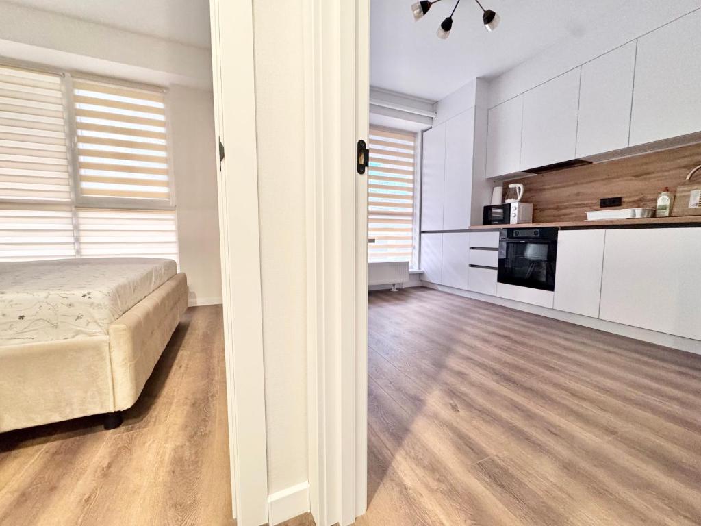 Новострой на Ботанике, Kišiněv