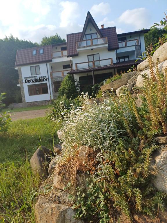 Belvedere Greșu - ex Dalia, Lepşa