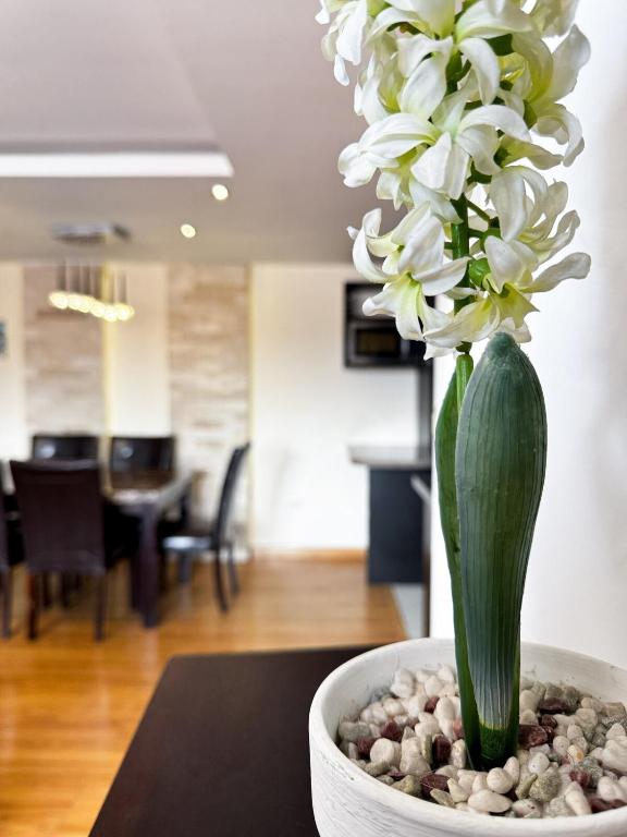 Urban Viewpoint Your City Refuge and Garage - 2