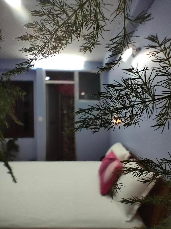 Shova's Home Stay — hotel in Balaju Gongabu