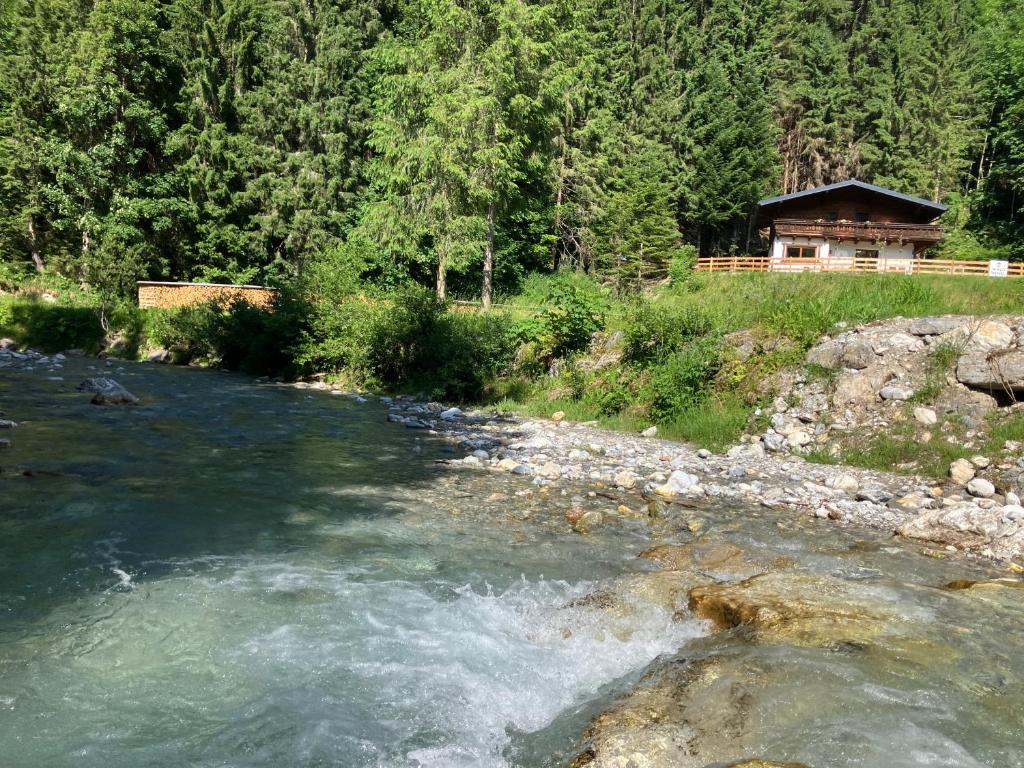 Ferienhaus Waldwinkl - 4