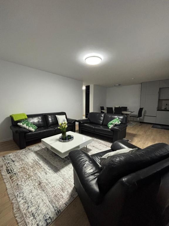 Nest apartament, Peje