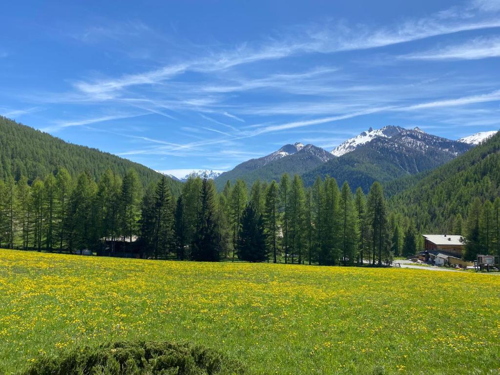 Granges d'Arvieux, Splendide T2, Rdc, Vue dégagée - 4