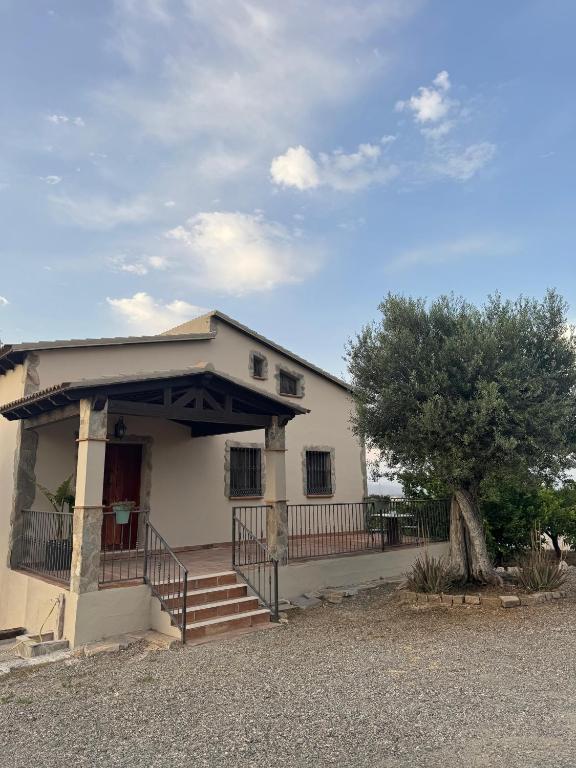 Casa peace - 2