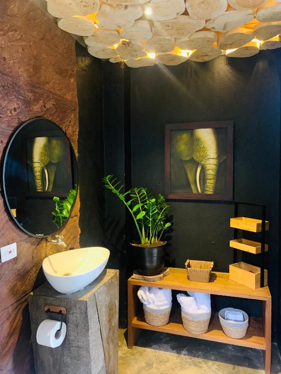 Cabaña privada Glamping via a termales - 5