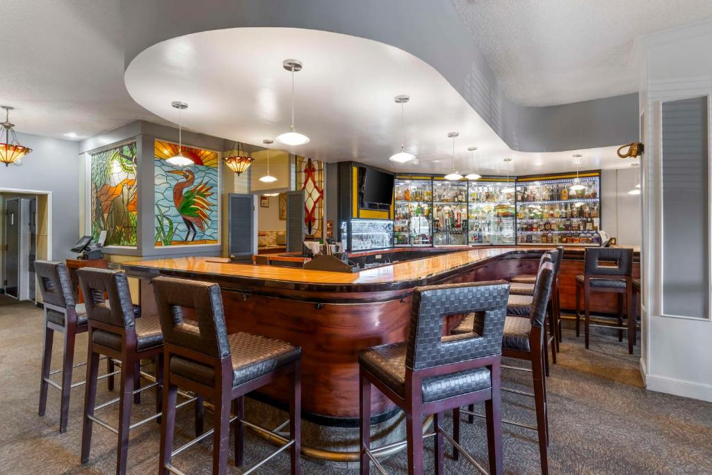 Bar/ Salón