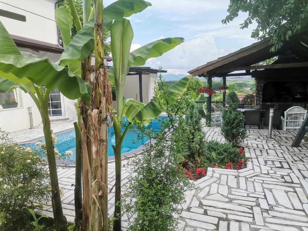 Garden- pool apartman, Petrovice Donje