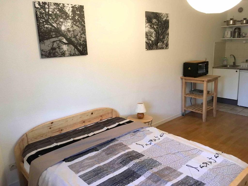 Studio ARBOLES - 3