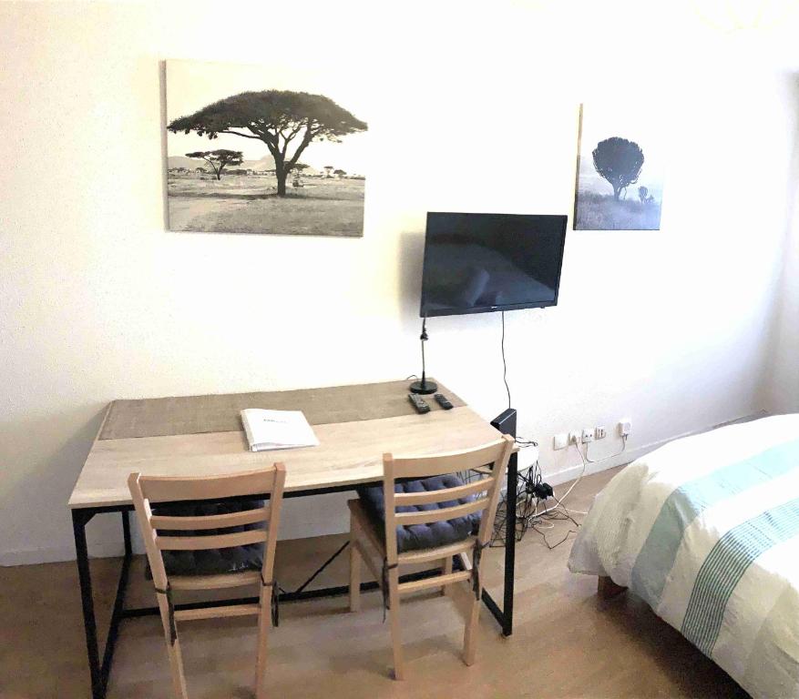 Studio ARBOLES - 4