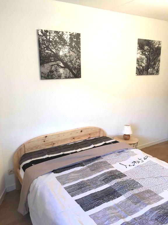 Studio ARBOLES - 2