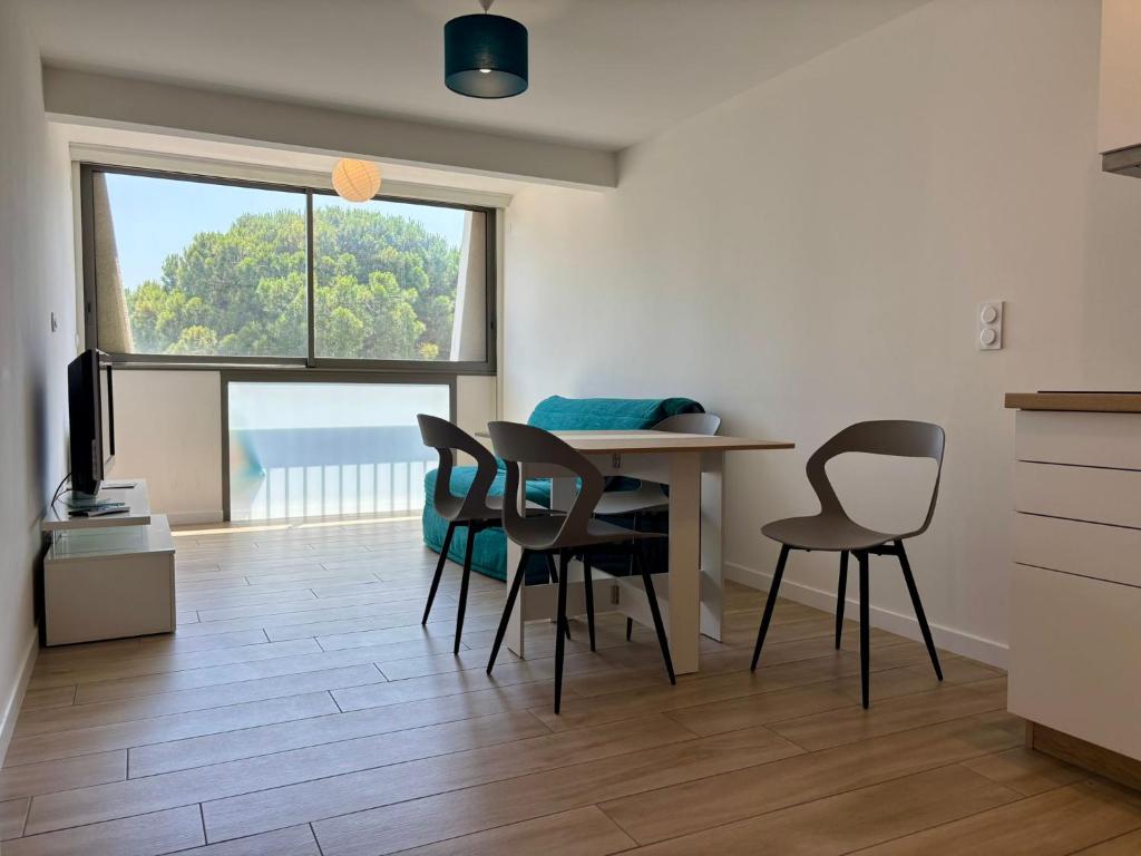 Appartement les pieds dans l'eau Saint Cyprien - 1