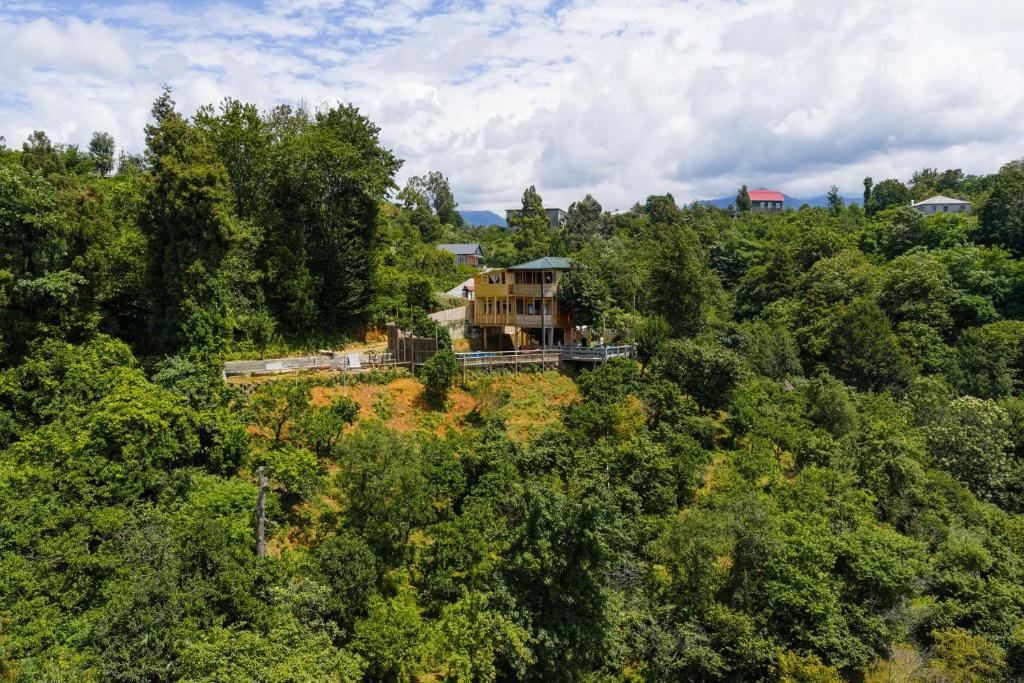 GoldenSeaView TreeHouse with Small Private Pool, Tsikhisdziri