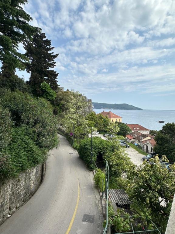 Seas the Day Studio, Herceg Novi