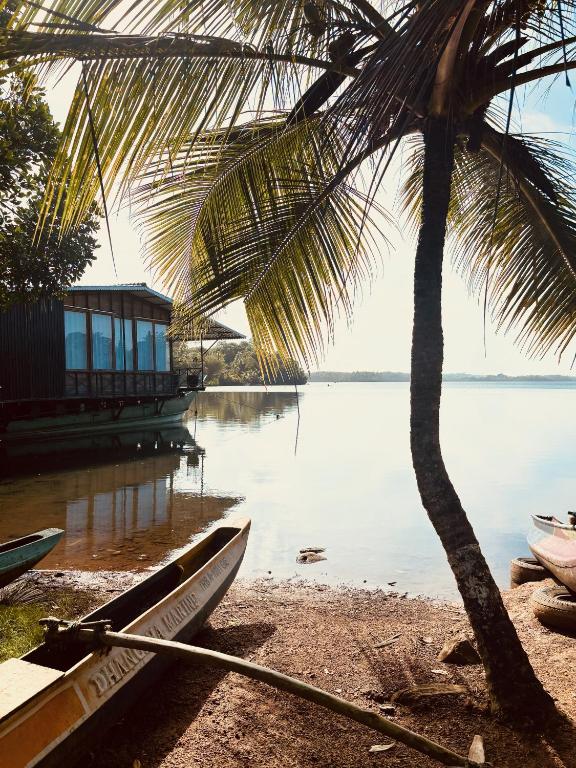 Jungle Breeze, Habaraduwa