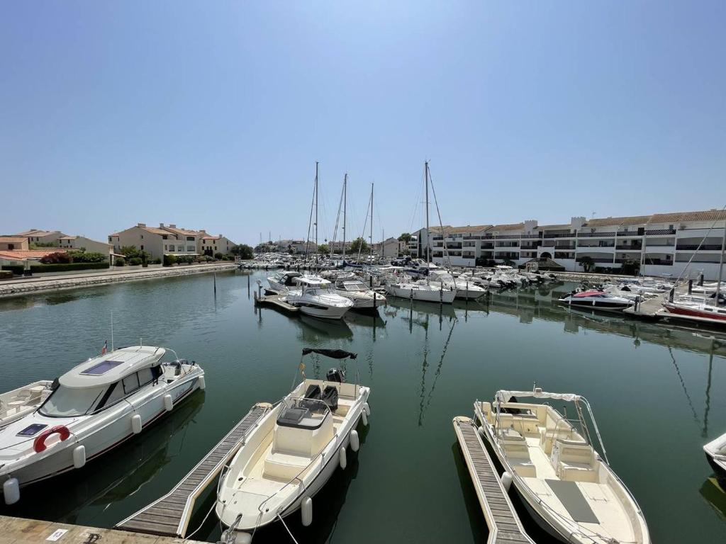 T2 rénové avec cabine, piscine, animaux admis, parking à 500m de la plage - FR-1-106-49 - 3