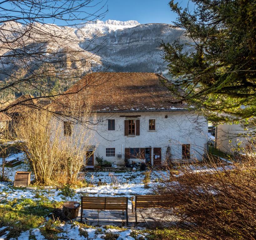 Deux appartements - Gîte aux 1000 chemins - 1